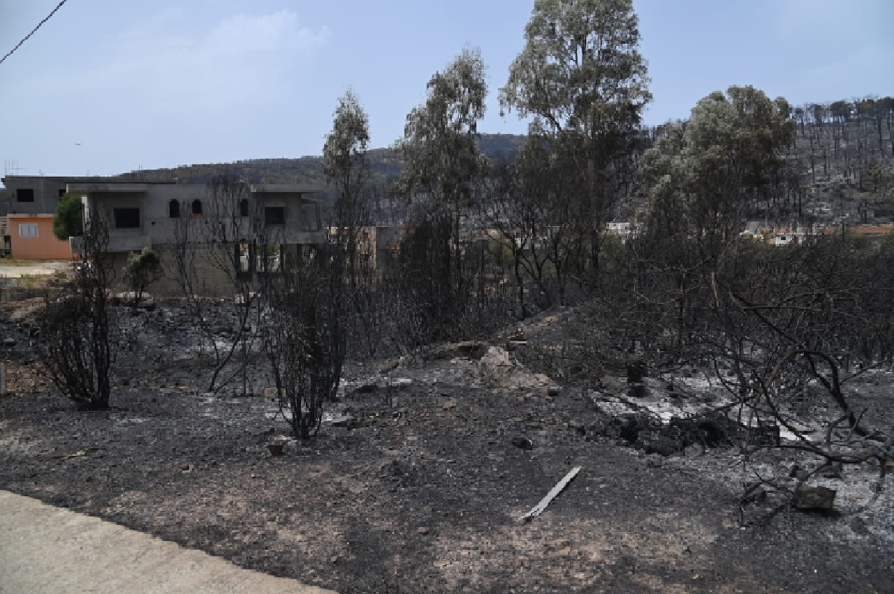 La migration climatique, une ralit en Tunisie